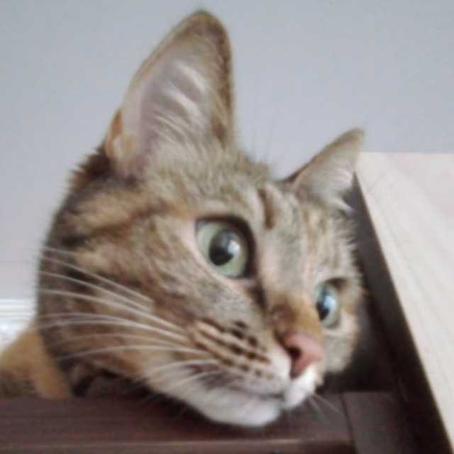 DA